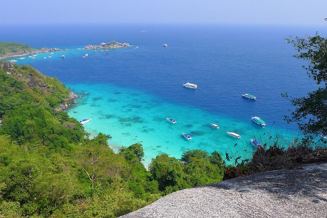 Similan Islands Snorkel Tour by Fantastic Similan Travel from Phuket - Who this tour suits best (and who should think twice)