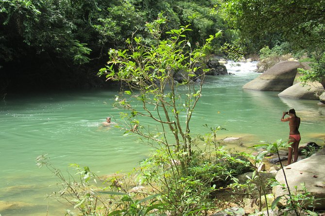 Small-Group Full-Day Khao Sok Nature Tour From Khao Lak - Bamboo Rafting Through Tropical Rainforest