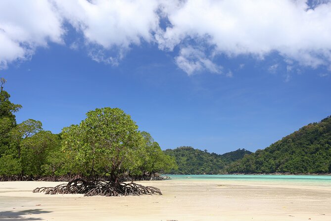 Surin Islands 2 Days 1 Night Trip from Khao Lak - Lunch at the national park canteen, then check-in to Mai Ngam area