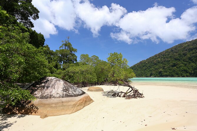 Surin Islands 2 Days 1 Night Trip from Khao Lak - Day 2: breakfast, Mai Ngam snorkeling, then the next bay circuit