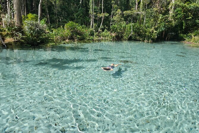 Surin Islands Snorkel Tour by SeaStar Andaman from Khao Lak - Mu Ko Surin’s Moken Village Visit: Culture and Creature-Spotting