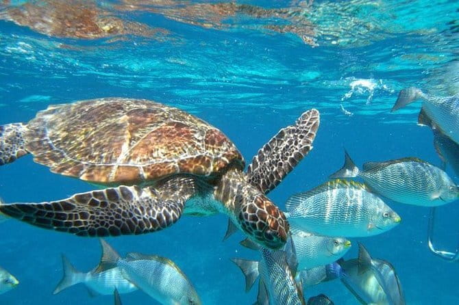Surin Islands Snorkel Tour by SeaStar Andaman from Khao Lak - Boat Comfort Reality Check on SeaStar Andaman