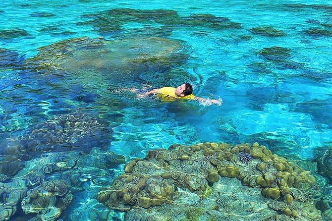 Surin Islands Snorkeling Day Trip By Love Andaman From Khao Lak - The Moken village encounter: why this stop matters