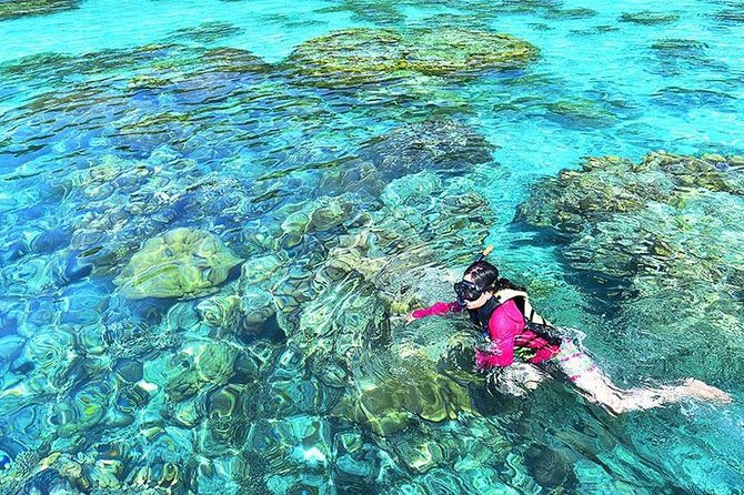 Surin Islands Snorkeling Day Trip By Love Andaman From Khao Lak - Food on the water: what you get and why it’s practical